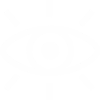 visionicon visionicon