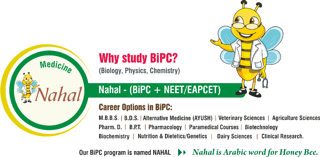 msjc-nahal-1024x504px